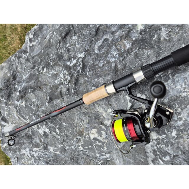 Shimano Sienna x Sienna Teleruten-Set 2,70m 30-60g x 2500 0,26mm