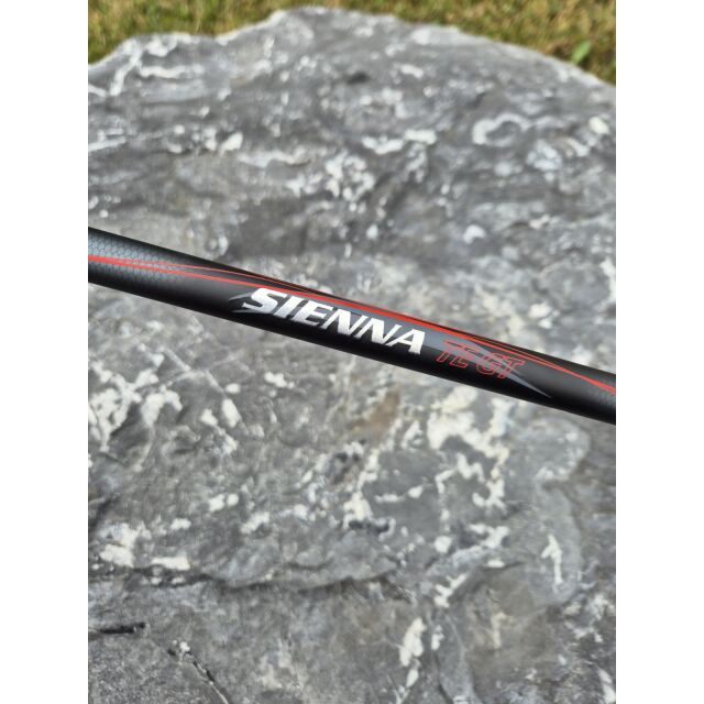 Shimano Sienna x Sienna Teleruten-Set 2,70m 40-80g x 2500 0,26mm