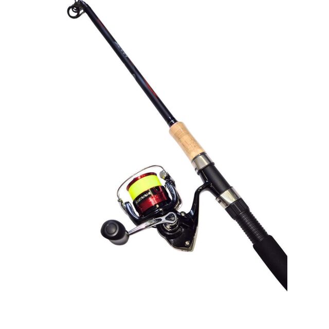 Shimano Sienna x Sienna Teleruten-Set 3,00m 40-80g x 2500 0,26mm
