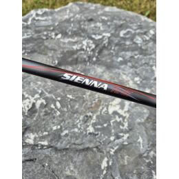 Shimano Sienna x Sienna Teleruten-Set 3,00m 40-80g x 2500 0,26mm