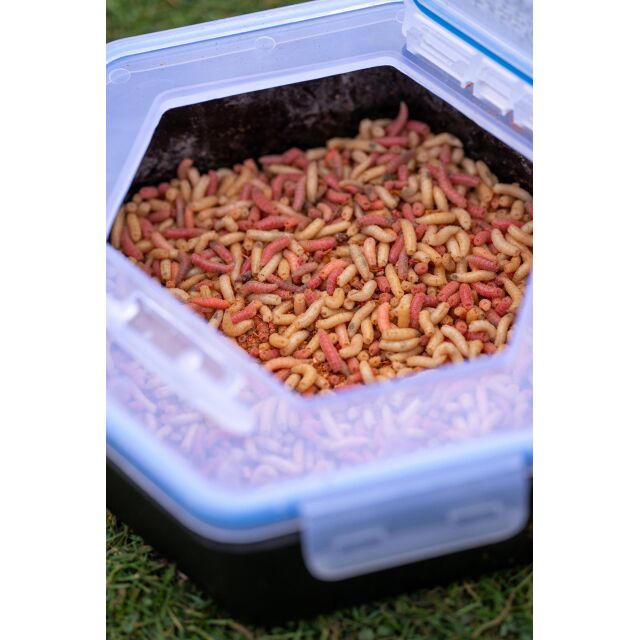 Zebco Secure-Lock Bait Box 2,00L