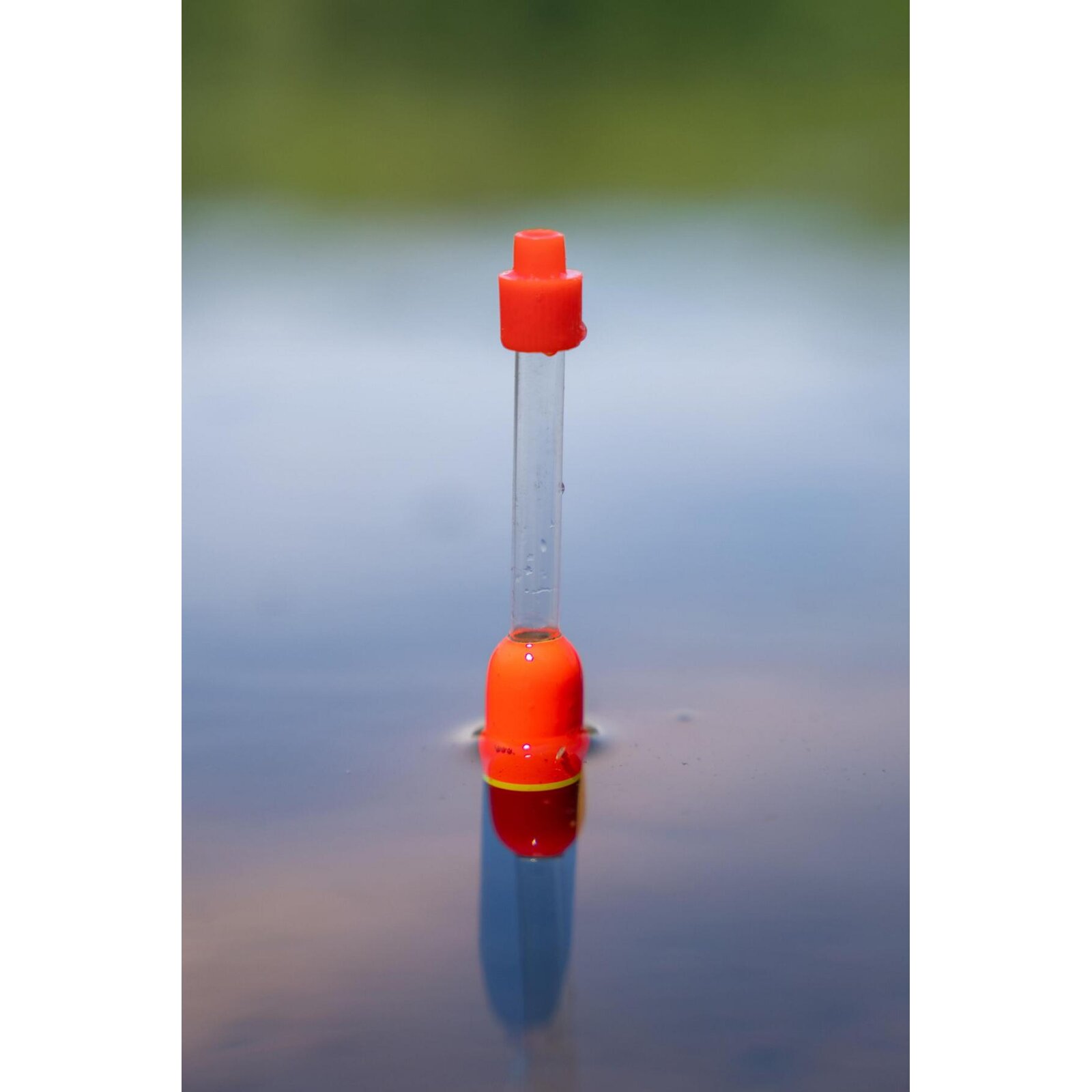 Zebco After Dark Loaded Snap Light Float