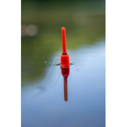 Zebco After Dark Slim Snap Light Float