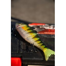 FOX Rage Replicant Swim 18cm 7" Perch