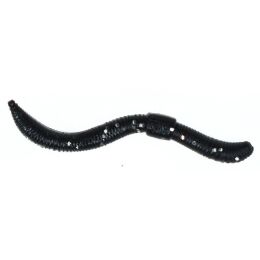 Trout Master Dendrobaena Knoblauch 60mm 15Stk.