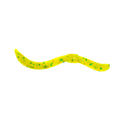 Trout Master Dendrobaena Knoblauch 60mm 15Stk. Yellow