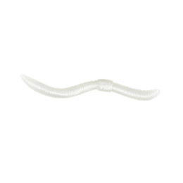 Trout Master Dendrobaena Knoblauch 60mm 15Stk. Pearl