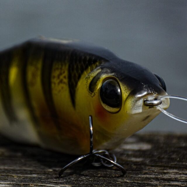 SPRO KGB Series Chad Shad 180
