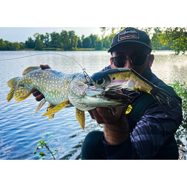 SPRO KGB Series Chad Shad 180
