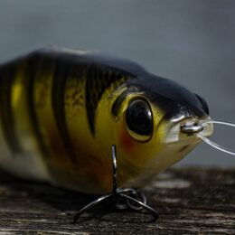 SPRO KGB Series Chad Shad 180
