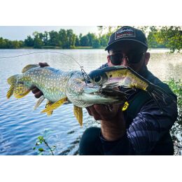 SPRO KGB Series Chad Shad 180
