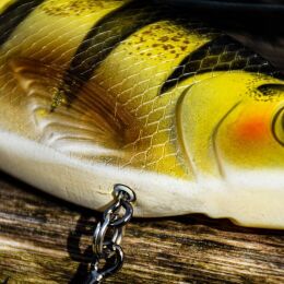 SPRO KGB Series Chad Shad 180