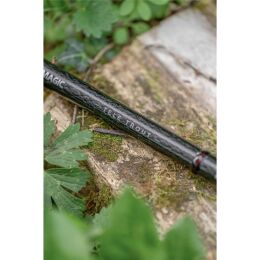 Zebco Magic Trout Forellenrute 3tlg.