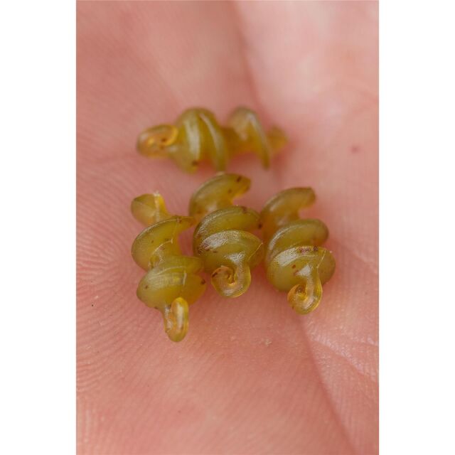 Korum Smokescreen Meat Screws 8Stk.