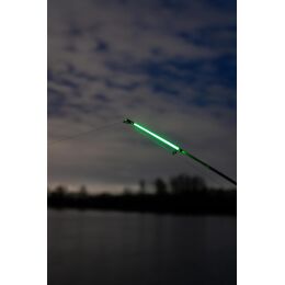 Zebco After Dark Hell Light | Aal-Rute