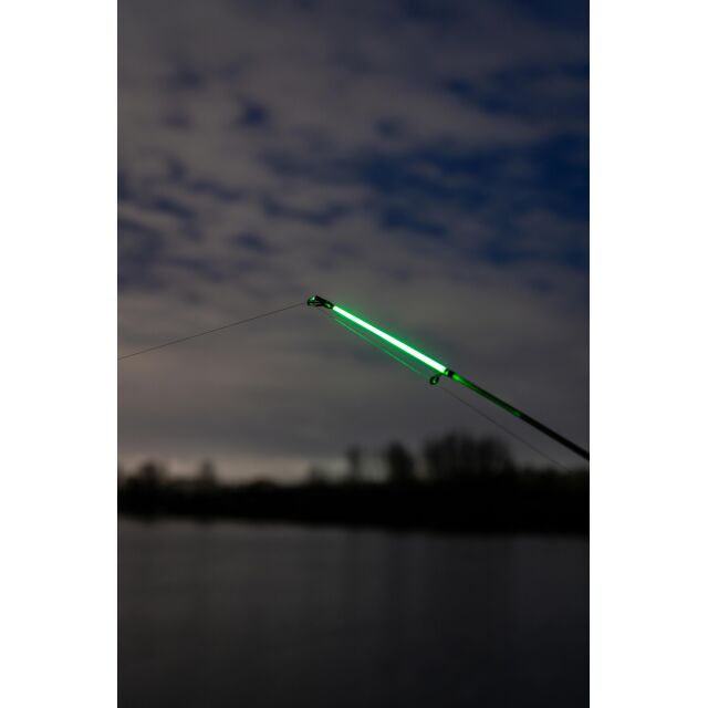 Zebco After Dark Hell Light | Aal-Rute 3,00m 85g