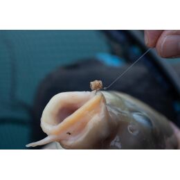 Preston Hookable Bait Bands