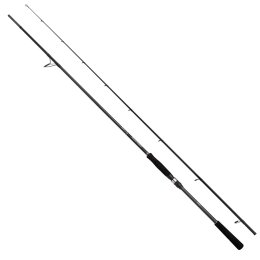 Shimano Bassterra A Power Game Spin