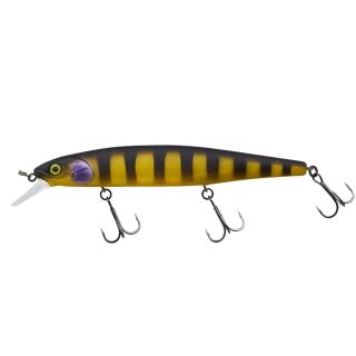 Zander Bee