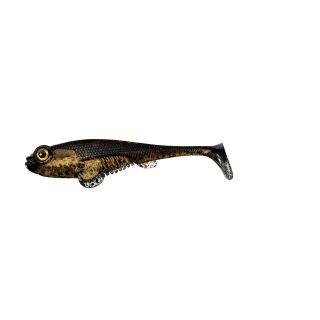 Wild Goby