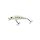 Grass Trout