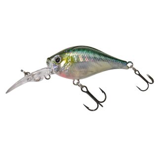 Blue Gill