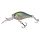 Blue Gill