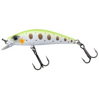 Grass Trout
