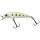 Grass Trout