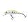 Grass Trout