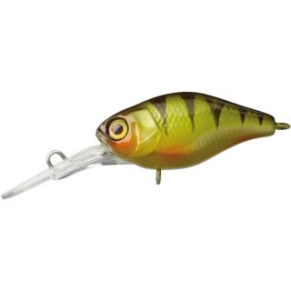 NF Perch