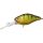 NF Perch