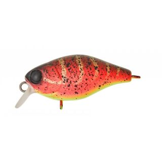 Spicy Louisy Craw