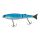 Blue Shad