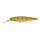 Agressive Perch