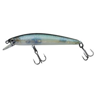 Secret Grass Minnow