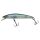 Secret Grass Minnow