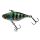 HL SuNFish