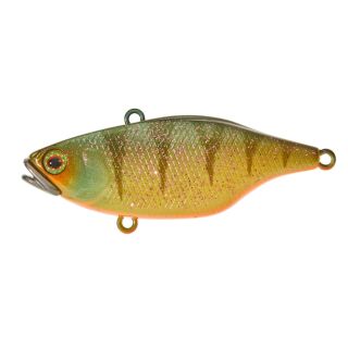 Agressive Perch