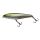 Illex Water Monitor 95