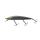 Aurora Baitfish