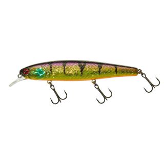 HL Gold Perch
