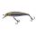 Aurora Baitfish