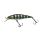 HL Sunfish
