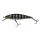 HL Sunfish