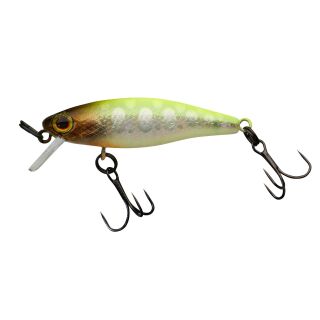 Chartreuse Back Yamame