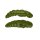 031 - olive