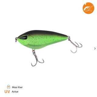 Moor Kiwi
