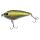 Pike
