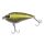 Pike